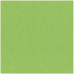 12X12 Bazzill Bling Cardstock - Image 19
