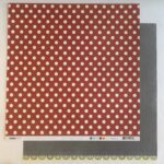 Kaisercraft On The Move DIESEL 12"X12" Scrapbook Paper