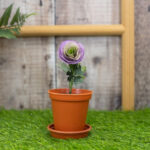 Crafter’s Companion Garden Florals RANDUNCULUS BUNDLE Flower Die - Image 3