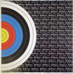 Scrapbook Customs Archery Go Big Right HIT THE BULLSEYE 12X12 Paper