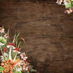 Simple Stories SIMPLE VINTAGE WOODLANDS 12”X12” Scrapbook Paper - Image 2