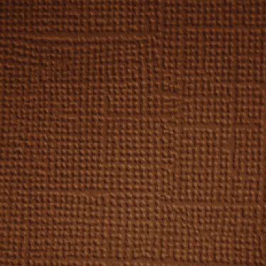 B8245301-074D-44CB-B6A0-93714918C035.jpg Doodlebug Design 12X12 CHOCOLATE CHIP Cardstock Paper 5pc - Image 1