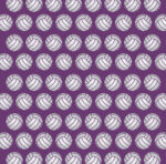 Echo Park Volleyball BUMP, SET, SPIKE 12"X12" Paper - Image 3