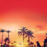 Paper House MAGIC PARK PALMS Sunset 12X12 Scrapbook Sheet - Image 2