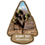 JOSHUA TREE National Park Watercolor 12"X12" Scrapbook Kit 4pc - Image 6