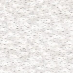 NPWC BIRCH TREE BARK National Park 12"X12" Scrapbook Paper - Image 3
