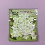 Petaloo Flora Doodles Forget Me Nots WHITE 40pc - Image 2