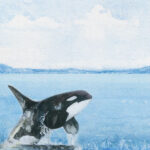 Scrapbook Customs SAFARI ORCA 12"X12" Scrapbook Paper - Image 2