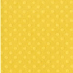 Bazzill 12X12 DOT Cardstock - Image 14