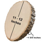 Wilson BASSWOOD ROUND Thick XLarge 3D Wood Home Decor Tree Stump - Image 2