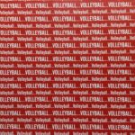 Volleyball SPORTS PRIDE Sports 12X12 Paper Sheet Scrapbook Customs Red