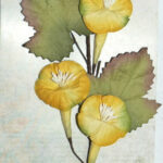 Petaloo Trumpet Vine Spray YELLOW Floral Embellishment