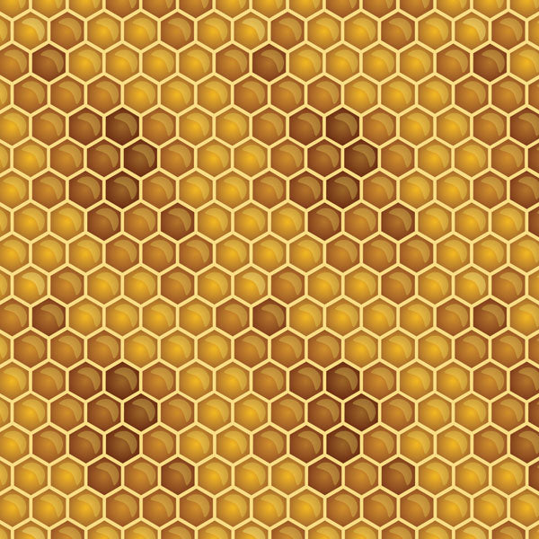 D3359553-CC4B-43BD-A163-B2285DAE9244.jpg HONEYCOMB 12"X12" Scrapbook Paper - Image 1