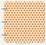 My Mind’s Eye Lush ORANGE POLKADOT 8”x8” Chipboard Album