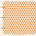 My Mind’s Eye Lush ORANGE POLKADOT 8”x8” Chipboard Album