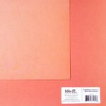 We R Farmers Market RED DELICIOUS  12"X12" Cardstock Paper