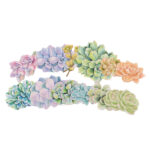 Paper House SUCCULENTS Diecut Stickers 24pc - Image 3