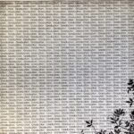 GRADUATION FLORAL RIGHT BLACK School 12"X12" Scrapbook Paper