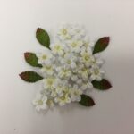 Petaloo Flora Doodles Forget Me Nots WHITE 40pc