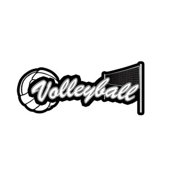 EB631268-21F1-45EB-91C6-2322A39AFBFB.jpeg VOLLEYBALL Net Sport Topper Sticker 3”x10” 1pc - Image 1