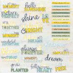 49 and Market BOTANICAL BUZZ Chipboard Words 32pc - Image 2