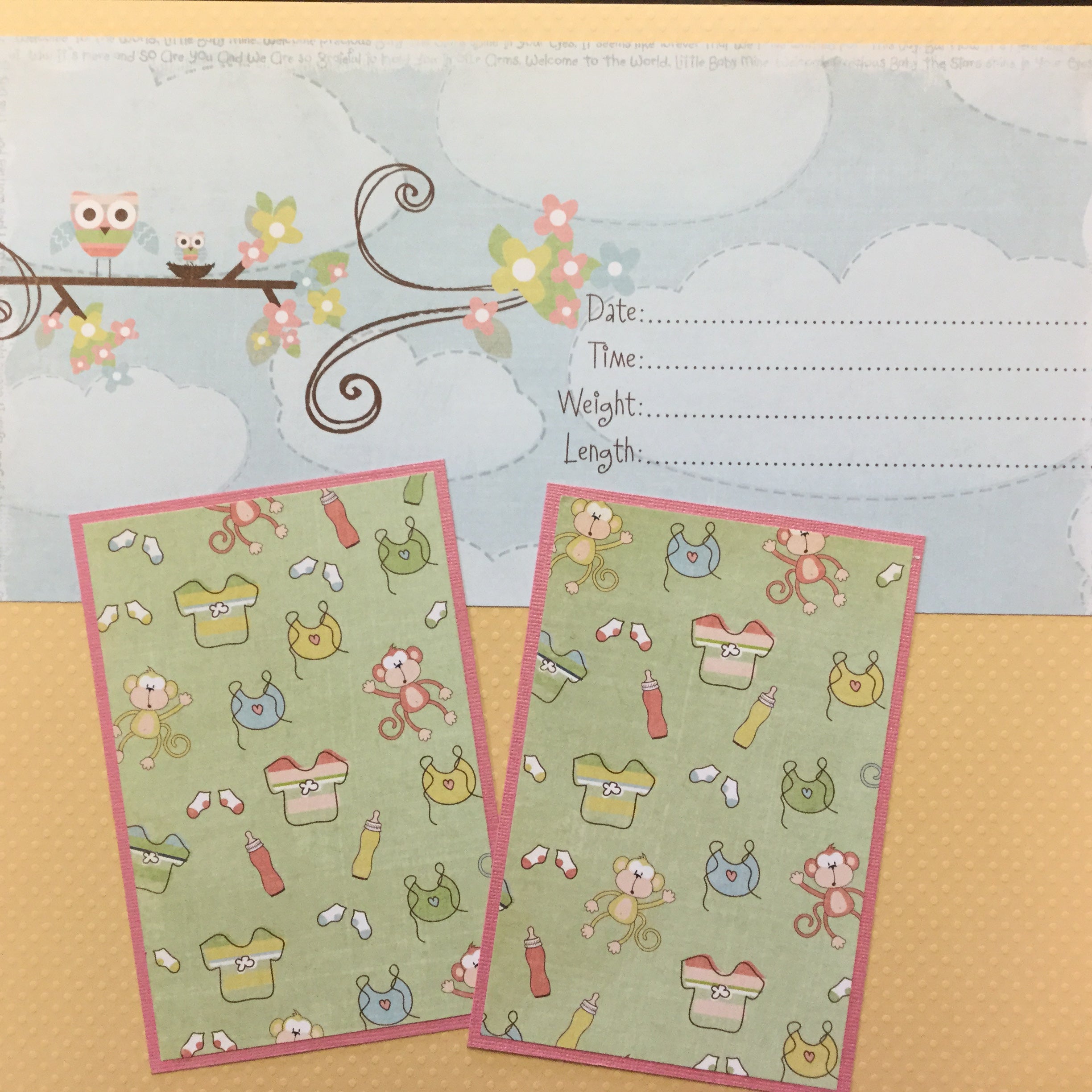 F2501AEE-4C14-48B5-A6D2-9DA4B57565B5.jpg Premade Scrapbook Page NEWBORN BABY (2) 12"x12" Layout - Image 1
