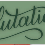 Echo Park SALUTATIONS No. 2 12”X12” Scrapbook Paper