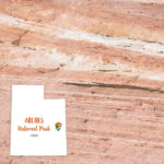 ARCHES KIT Papers and Stickers Utah National Park 3pc - Image 4