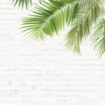 VACAY Tropical 12X12 Scrapbook Customs Paper Pack 15pc - Image 17