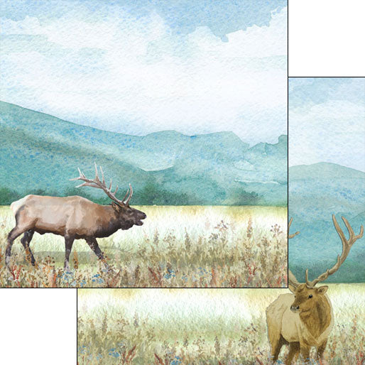 FFE5811F-03A4-45B6-B1FA-142942F27D1E.jpg Scrapbook Customs ELK DS Watercolor 12"X12" Paper - Image 1