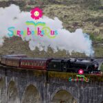 Harry Potter EXPRESS Train 12"X12" Scrapbook Paper
