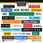 Scrapbook Customs 6X6 NEW DRIVER WORDBIT Stickers 25pc