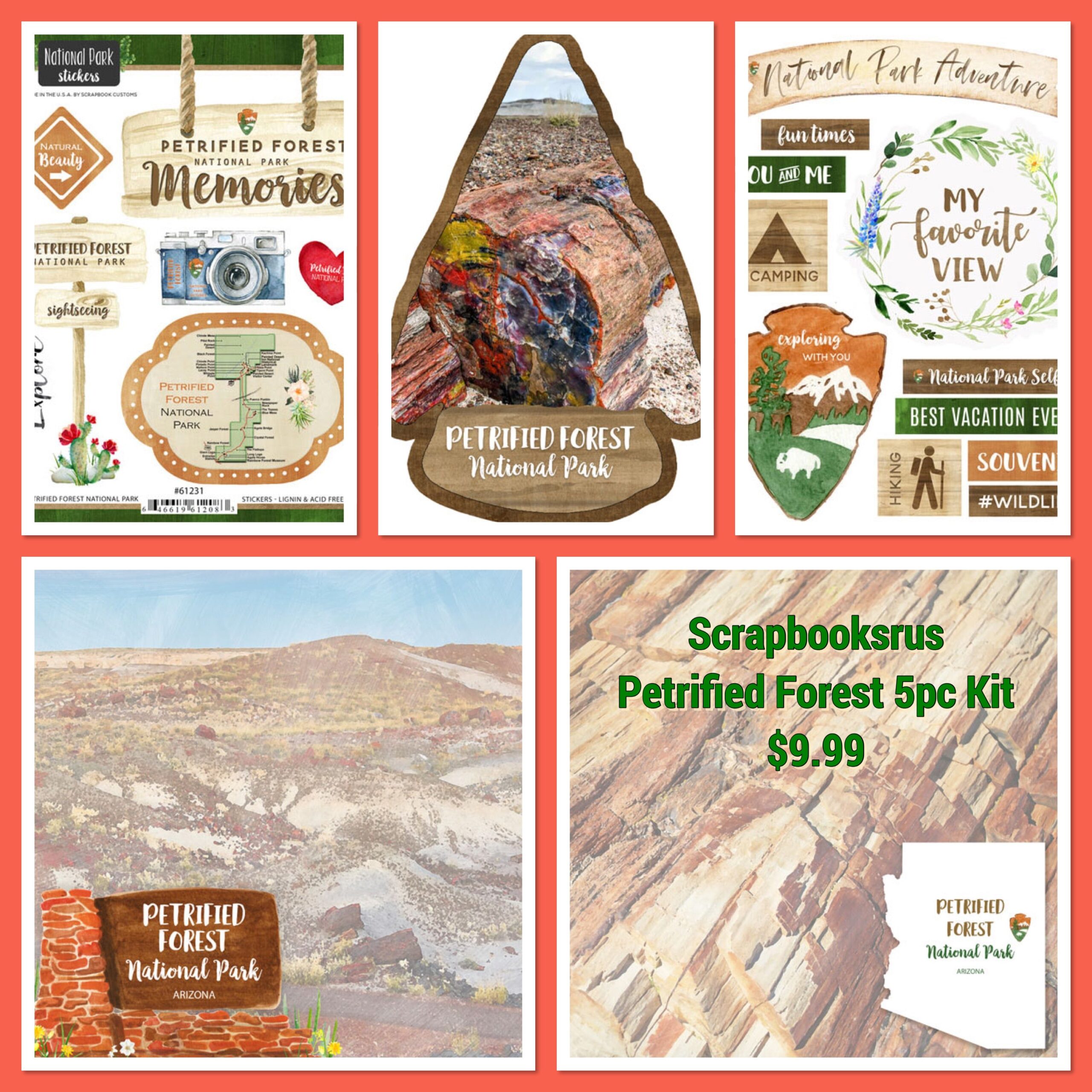 IMG-2553.jpg PETRIFIED FOREST KIT Papers and Stickers 5pc National Park Arizona - Image 1