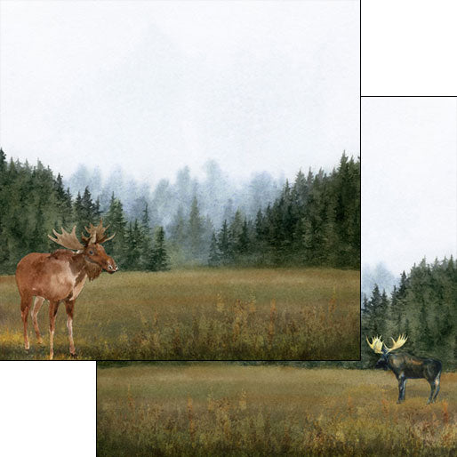 IMG-3392.jpg MOOSE DS Watercolor 12"X12" Scrapbook Paper - Image 1