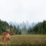 MOOSE DS Watercolor 12"X12" Scrapbook Paper - Image 2