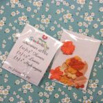 Scrapbooksrus Summer Mix Flowers & Leaves 20pc - Image 3