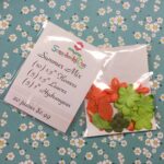 Scrapbooksrus Summer Mix Flowers & Leaves 20pc - Image 5