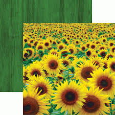 IMG-9038.jpg Reminisce Wildflower SUNFLOWER FIELD 12"X12" Scrapbook Paper - Image 1