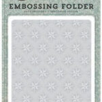 Carta Bella COMPASS Embossing Folder 5"X8" 1pc