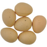 KAISERCRAFT Decorative Eggs - Image 2