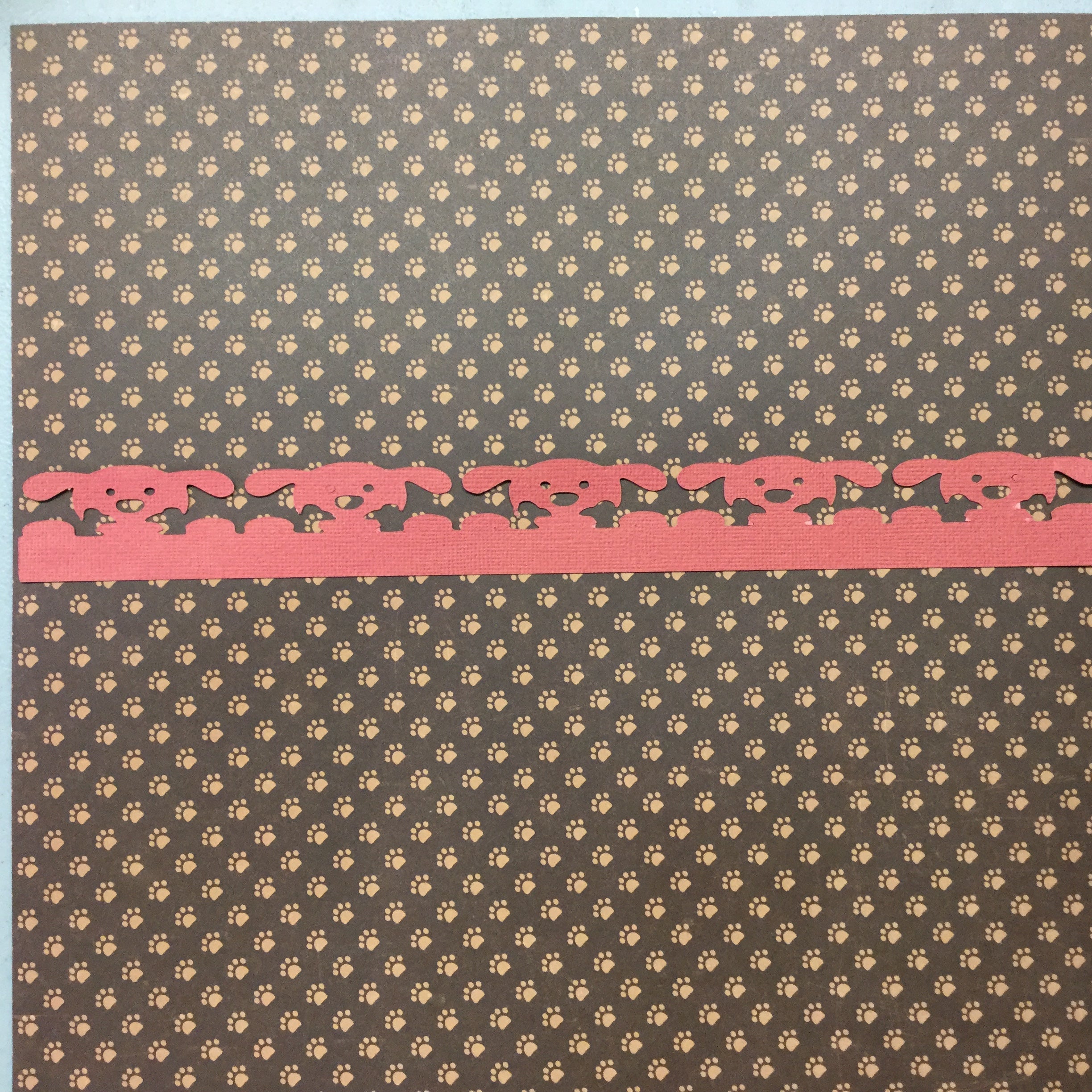 IMG_2651.jpg Pet DOG BORDERS Orange Diecut 2.5"X12" - Image 1