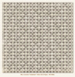 My Mind's Eye DILLY DALLY 12"X12" Cardstock Paper