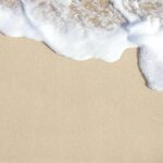 Paper House At The Beach SEASHORE 12X12 Scrapbook Paper - Image 3