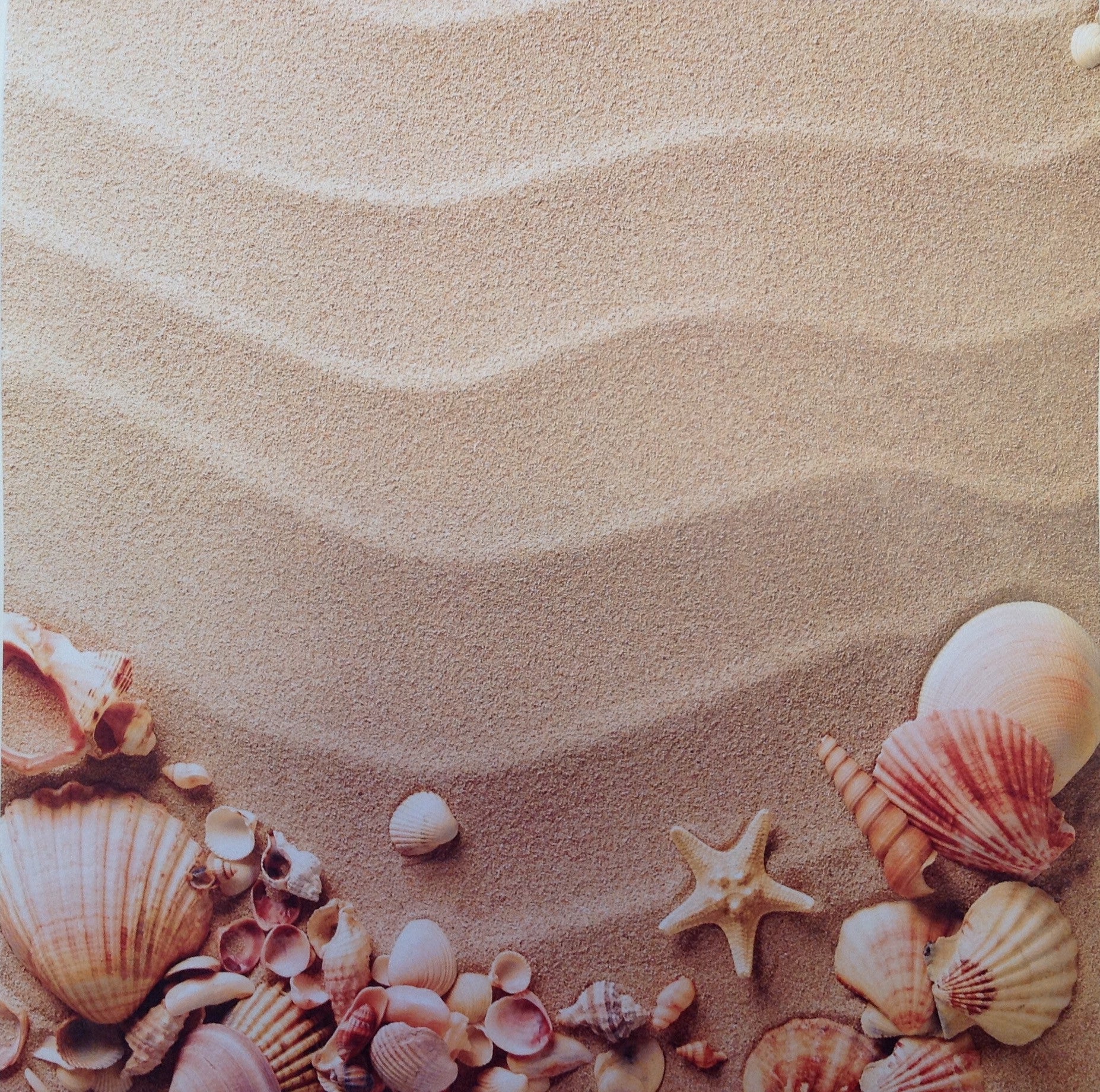 image_08ec825c-9122-442e-8c96-5a947d656281.jpeg Scrapbook Customs SEA SHELLS & SAND 12"X12" Paper - Image 1