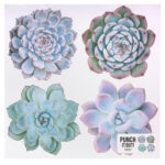 American Crafts SUCCULENT DieCuts 4 pc.
