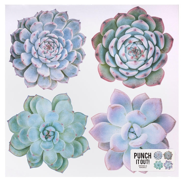 image_10ae3047-162c-43b4-b5c6-77a5a596d32d.jpg American Crafts SUCCULENT DieCuts 4 pc. - Image 1