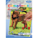 Royal Mini Color Pencil By Number PUPPY & BUTTERFLY