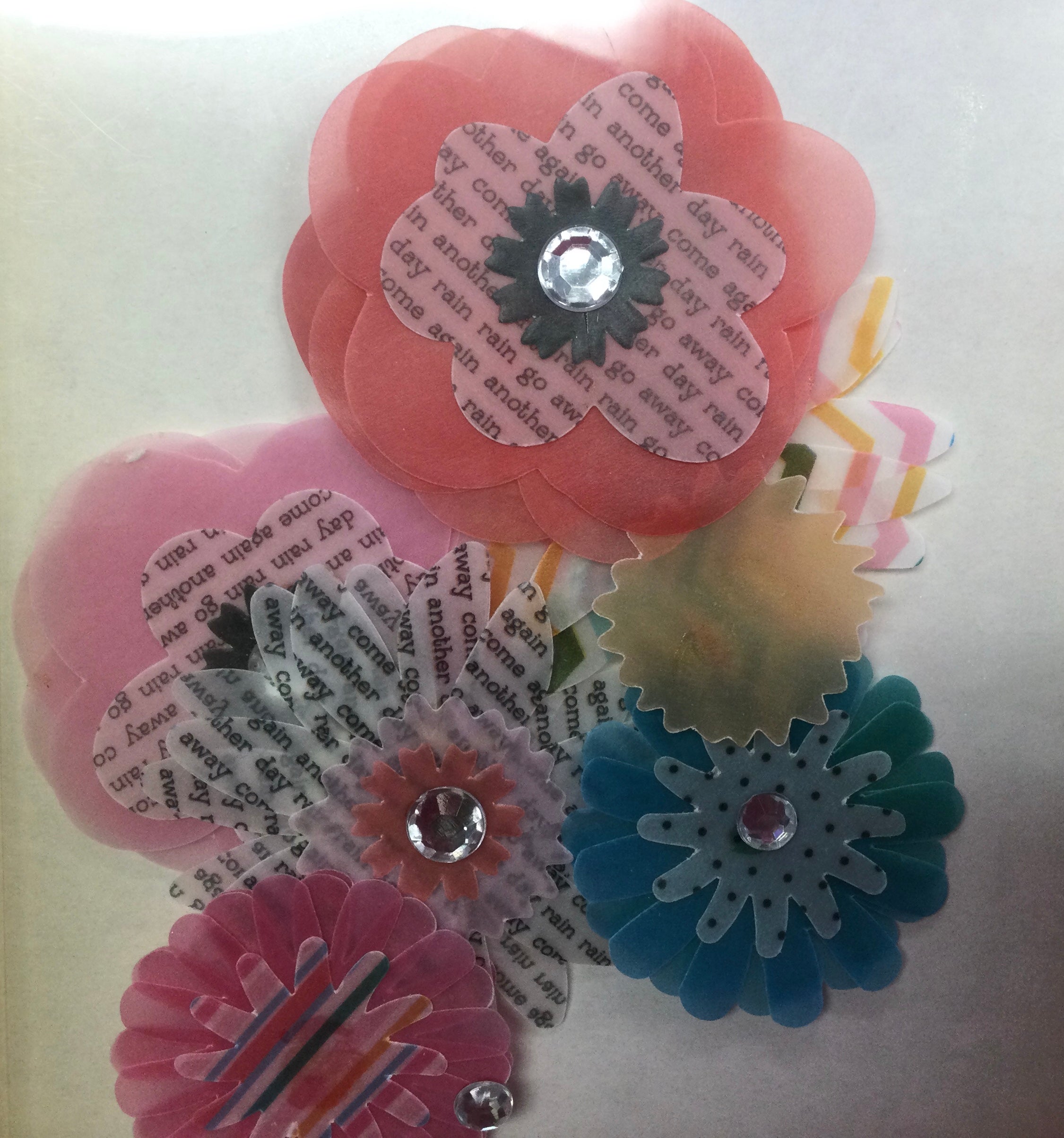 image_292f6786-7ccb-4ea1-a0ce-1cf46c1a46b1.jpg Pebbles VELLUM FLOWERS Layered Stickers - Image 1