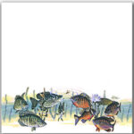 Papers Best LK201 PANFISH BONANZA 12"X12" Scrapbook Paper