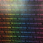 Neon THE BONEYARD PARK Museum 12"X12" Travel Scrapbook Paper - Image 2